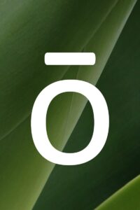 Zendocrine® Detoxiﬁcation Complex