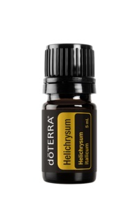 Helichrysum