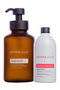 Abode Handwash with Dispenser