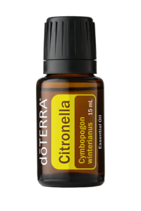 Citronella