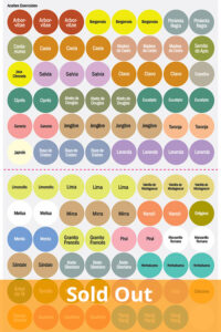 dōTERRA Single Essential Oil Cap Stickers (Spanish)